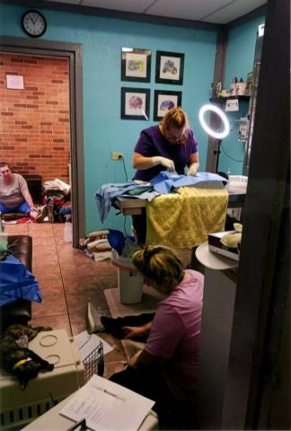Dr. Elizabeth Pritchett is pictured as she performs a procedure. (Photo courtesy of EPAR)