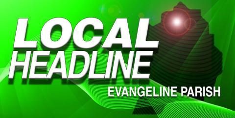 Local Headline