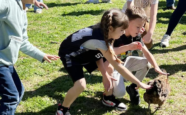 Youngsters are pictured as they participate in the Little Courir Chicken Chase during the inaugural Bastrop, Texas, Mardi Gras celebration in 2024. (Gazette file photo)