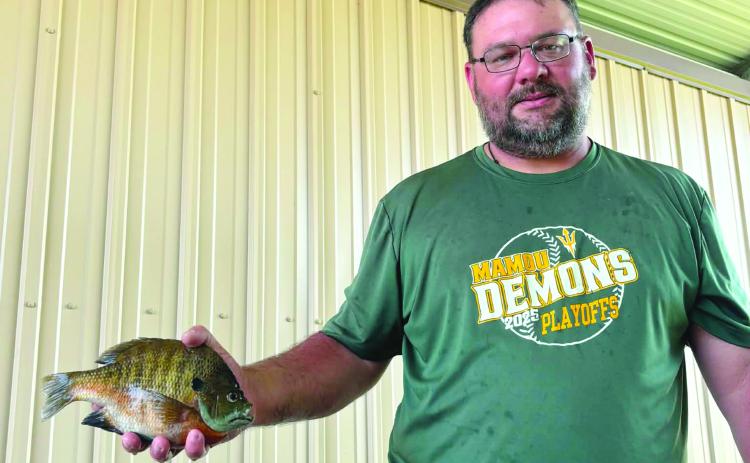 Quentin Miller, of Mamou, is shown with a 1.45-pound bluegill, that he caught at Miller’s Lake on May 14. (Photo courtesy of Quentin Miller)