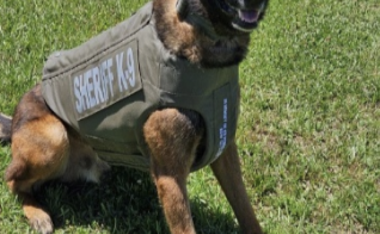K9 Coup is shown with his newly donated vest. (Photo courtesy of EPSO)