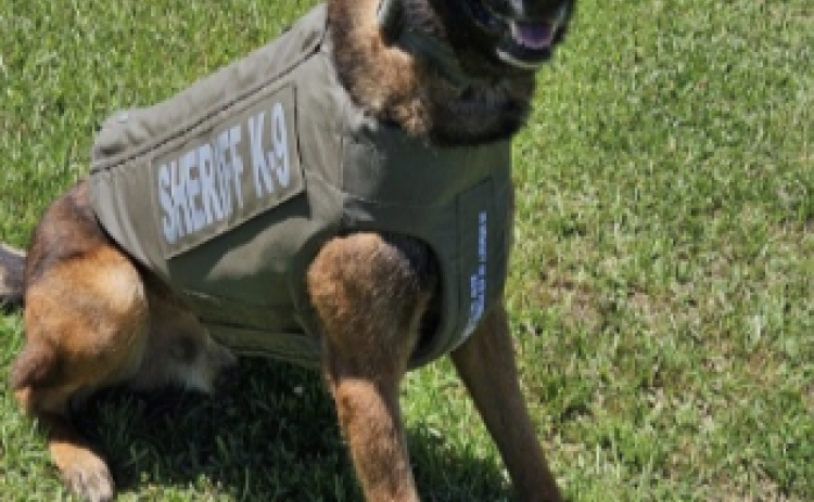 K9 Coup is shown with his newly donated vest. (Photo courtesy of EPSO)