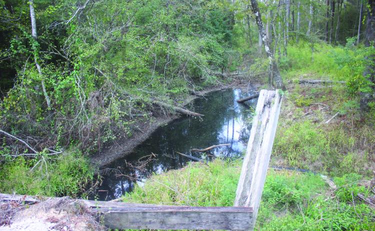 Pictured is the black water flowing through Cypress Creek that is coming from Timberlane Landfill north of Oakdale. The above picture was taken from the Cypress Creek bridge over Leman Road. (Gazette photo by Tony Marks)