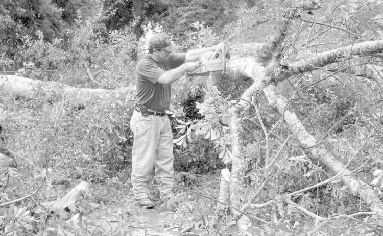 Fire Chief Ted Demourelle begins cutting a fallen tree after the storm passes. (Gazette file photo)