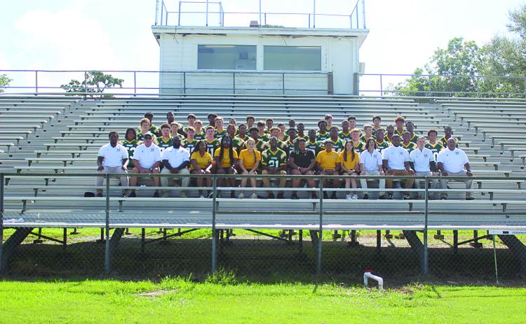 Mamou Green Demons