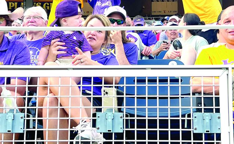 Above are some of those fans as they celebrate a strike out from the Dick Howser Award winning LSU pitcher Paul Skenes, who passed David Price for second most strikeouts in an SEC season during his performance against the Volunteers. The award is given to the national player of the year in college baseball. Pictured in the center is Anita Haywood, affectionately known as “The K Lady,” who has been a fan of the team since 1981. (LSN photo by Tony Marks)