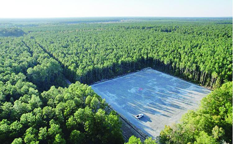 1PointFive is developing the Magnolia Sequestration Hub in Allen Parish that can securely store carbon dioxide more than one mile underground. (Photo courtesy of William B. Fitzgerald)