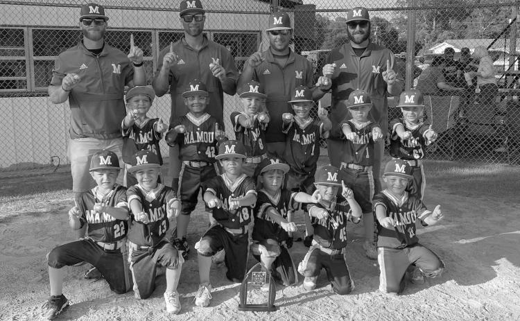 Mamou 6U All-Stars win district championship
