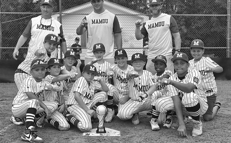 The Mamou Super 10s won the DYB District 7 Tournament. Players are Emmett Christ, Maddex Jack, Japheth Spears, Jaxxon Cormier, Paxton Ashford, Ben Ardoin, Karson Courville, Tucker Ardoin, Jax Vidrine, Kalem Fontenot, and Deshaun Compton. (Photos courtesy of Tosha Cormier)