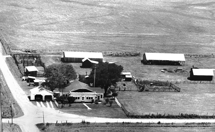 THE OLD MCCLELLAND FARM - This aerial shot of the McClelland Farm in rural Evangeline Parish was taken approximately 50 years ago. The home pictured was the second on site and was sold and moved into the town of Basile years ago. All of the outlying buildings shown have been demolished and replaced, but the oak trees shown (planted in 1922) still stand.