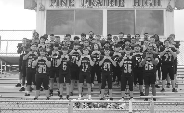 Pine Prairie Panthers