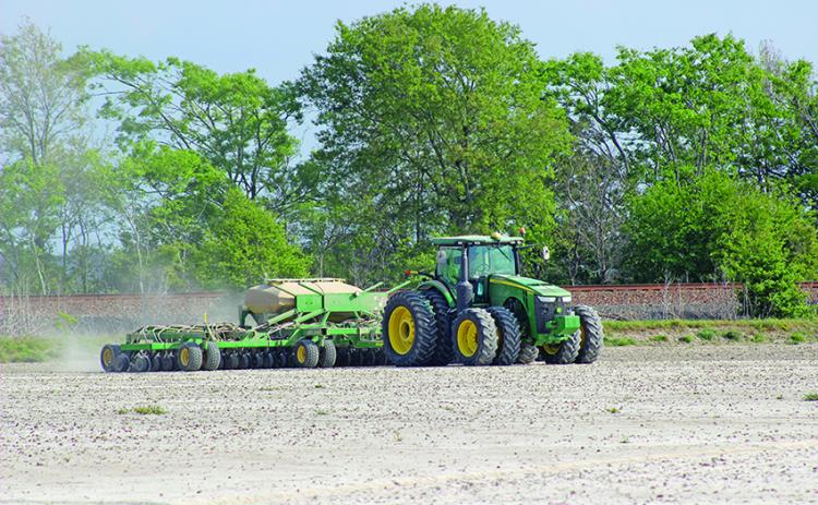 Rice is planted north of U.S. Hwy. 90 between Rayne and Crowley on a recent day. (Photo by Claudette Olivier/Church Point News)