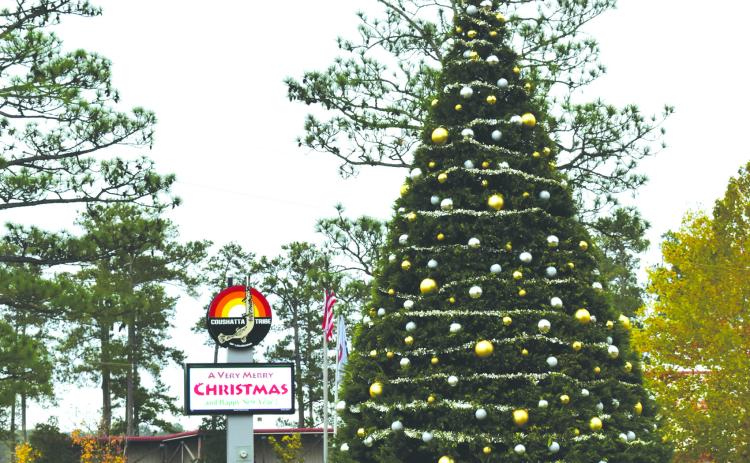 The 31-foot tall Leyland Cypress is decorated for Christmas. (Submitted photo)